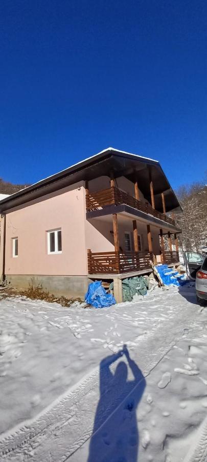 Vila Nika Crni Vrh Luaran gambar
